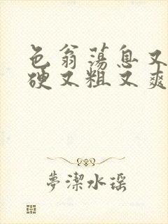色翁荡息又大又硬又粗又爽