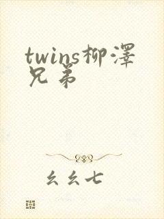 twins柳泽兄弟
