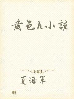 黄色h小说封面