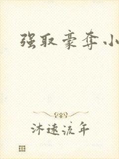 强取豪夺小说
