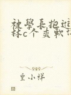 被学长抱进小树林c个爽软件封面
