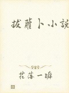 拔萝卜小说