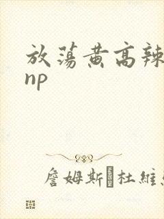 放荡黄高辣h文np