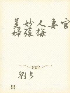 美妙人妻官场少妇张梅封面