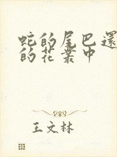 蛇的尾巴还在我的花丛中