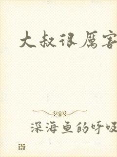 大叔很厉害封面