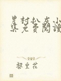 农村扒灰小说全集免费阅读