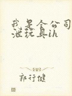 我是全公司的发泄玩具ih