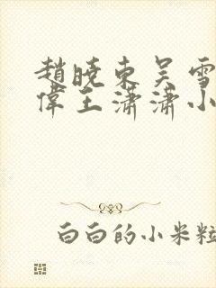 赵晓东吴雪晴郑伟王潇潇小说