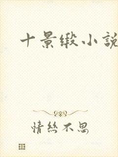 十景缎小说封面