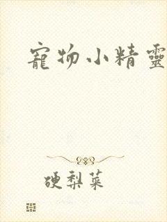 宠物小精灵漫画