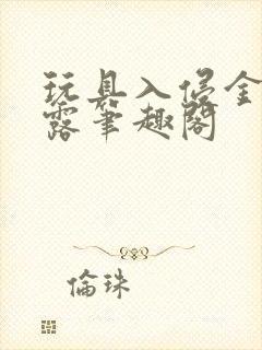 玩具入侵金银花露笔趣阁