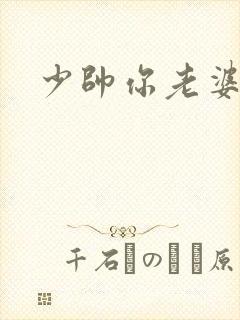 少帅你老婆