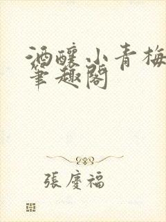 酒酿小青梅po笔趣阁