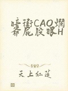 暗卫CAO烂王爷屁股眼H封面