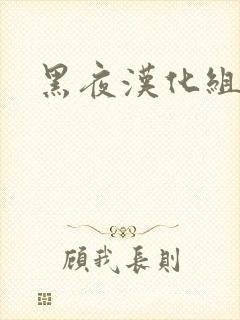 黑夜汉化组