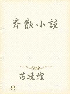 齐欢小说封面