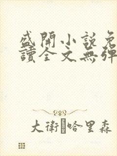 盛开小说免费阅读全文无弹窗