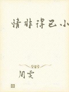 情非得已小说封面