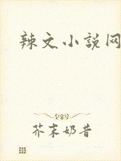 辣文小说网
