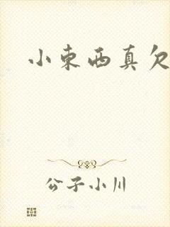 小东西真欠弄