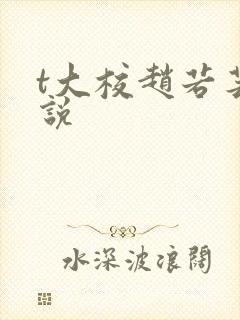 t大校赵若芸小说