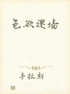 色欲迷墙封面