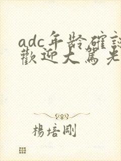 adc年龄确认欢迎大驾光临小说