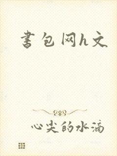 书包网h文