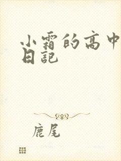 小霜的高中成长日记