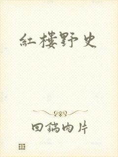 红楼野史封面