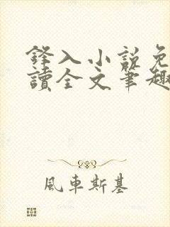 锋入小说免费阅读全文笔趣阁封面