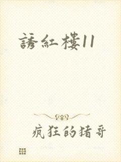 诱红楼11
