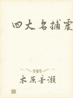 四大名捕震关东