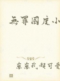 无罪国度小说