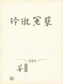 玲珑冤孽