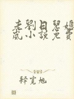 老刘日儿媳妇张岚小说免费阅读