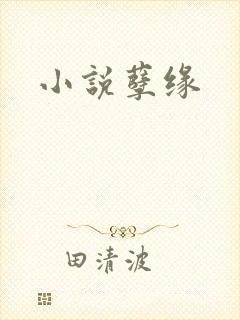 小说孽缘