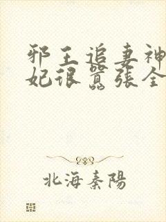 邪王追妻神医狂妃很嚣张全文免费