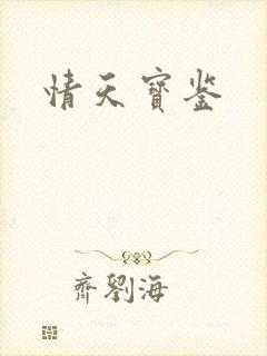 情天宝鉴封面
