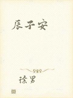 辰子安封面