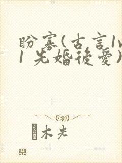 盼寡(古言1v1 先婚后爱)