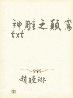 神雕之颠鸾倒凤txt封面