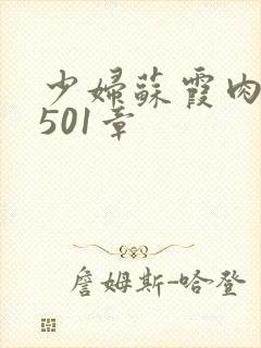 少妇苏霞肉欲第501章