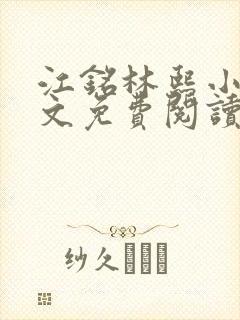 江铭林熙小说全文免费阅读