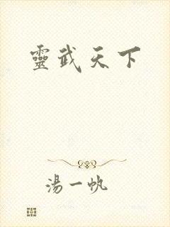 灵武天下