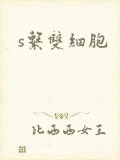 s系双细胞