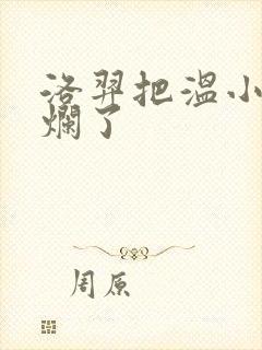 洛羿把温小辉做烂了封面