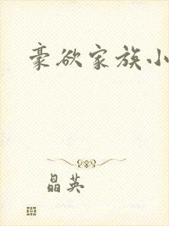 豪欲家族小说