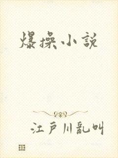 爆操小说